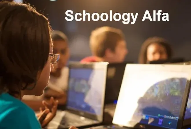 Unlocking the Future of Learning: A Deep Dive into Schoology Alfa